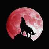 Wolf's Revier - Wolf's Moon,written and produced by Marcus Wolf,Homestudio.14 Bergstrasse Süd