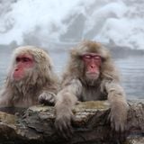 Winter's Chill (Part II)