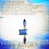 Andrew Wonderfull - Voices mystery 008 episode