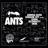 Sasha - Live At ANTS, Blue Parrot (BPM Festival 2016, Mexico) - 8th January 2016