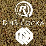 DnB Čočka #2 /w 2Nine @Radio R - 15. 3. 2016