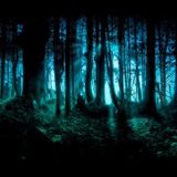Liverecorded dj set @ Connected Forest 2014