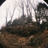 Desde los bosques nº19. Magick & Music