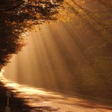 Lumina lui Hristos - predică Andrei Pătrîncă