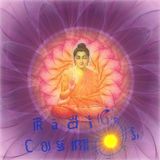 Dj Alex Shobo & Radio Cosmos 2nd Broadcast
