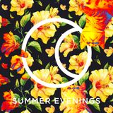 Cosmo Cat - Summer Evenings (part 1)