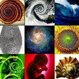 Pineal Session 006 (S8 vinyl downtempo mix)