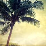 Essential Groove MIX - Julho 2014