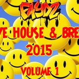 Rave House & Breaks 2015 (Volume 1)
