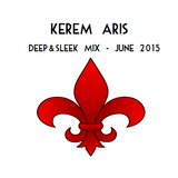 Deep & Sleek Mix - June 2015