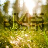Claes Rosen - 2015 Midsummer Mega Mix
