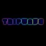 Tripwave - BongBreakka - Summer 2010 Breaks/Electro Promo Mix
