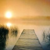 Morning at the river