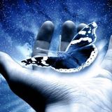 Brainpanic Trance Familly Sessions 24