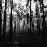 KOMOREBI_DARKlightIN mix