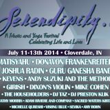 Serendipity Festival - DJ Taz Rashid 7-12-14