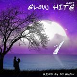 HSDj Slow Hits Megamix 1