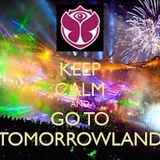 Tomorrowland - The Way We See The World G @ Dj Myreel Mash-Uo 2013 @Afrojack, Dimitri Vegas, Like