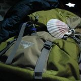 Camino de Santiago - droga, ktora zostawia slad