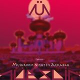 Mushroom trip to Agrabah