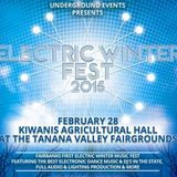 Electric Winter Fest 2015 Mix