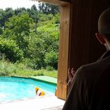 DATA DAY!! Poolparty set jul2014