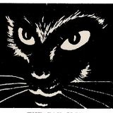Luis Mario At The Cat Club 1984 Part 2