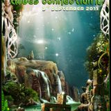 Rizbo - Tribes Connexion