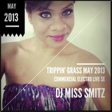 Trippin' Commercial Electro House by DJ MISS SMITZ - May 2013