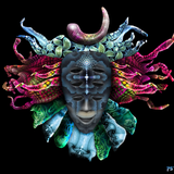 Shpongle Remixes - PsyAmb 54