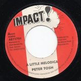 PETER TOSH DUB MIX