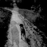 Mixtape 4 - Black Dog. From John Norsworthy