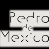 CopY//LefT PedroMix