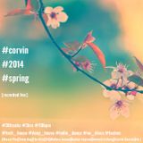#corvin #2014 #spring