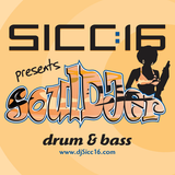 SoulDJer