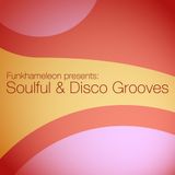 Funkhameleon presents: Soulful & Disco Grooves