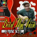 BEST OF NHOY VOLANTE (Bday Music Set for Ragel)