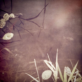 Reflections