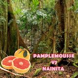 Pamplemousse Vs Nainita - Agrume Forestier