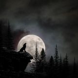 Becoming the Wolf (Full Moon Special)