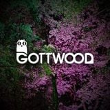 Mixtape XIV - Gottwood DJ Competition Mix