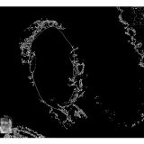 Alexandru Jijian - Live @ Nights of The Self (Club Control) Ian 2014