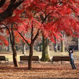 Autumn Mix 2011