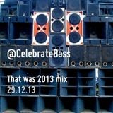That was 2013 mix | Celebrate Bass