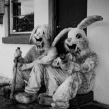 Songs from the Rabbit Hole
