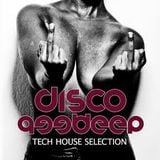 Podcast 040# Disco Deep 2013 by Aymen