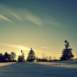 the quiet winter sun