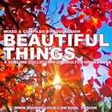 Beautiful Things (July 2013)