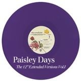 Paisley Days • Prince Mixtape - The 12" Extended Versions Vol.1