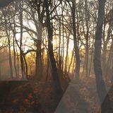 KALEIDOSCOPE • WOODLANDS • 22/10/15